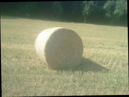 Heu-Rundballen