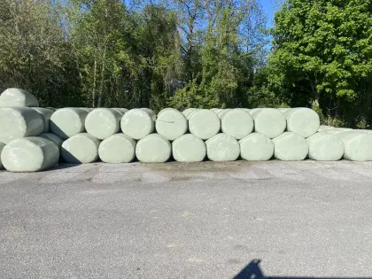 Verkaufe gehäckselte Silageballen.