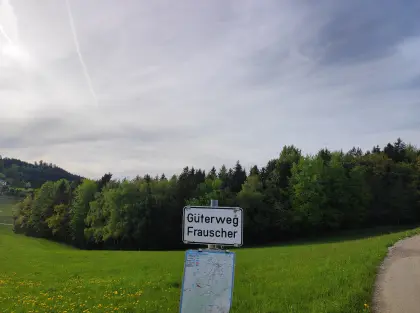 Wald in Waldzell