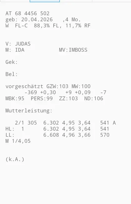 Fleckviehzuchtkälber zu verkaufen
