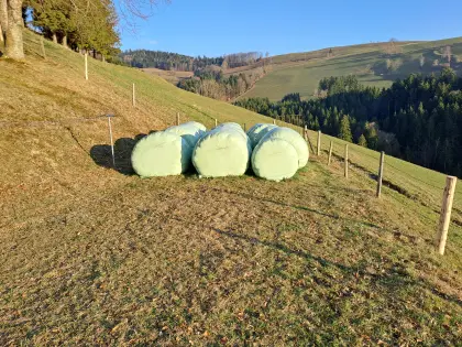 Siloballen