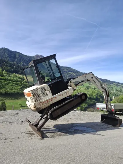 Bobcat X231