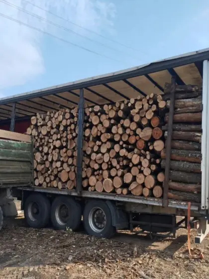 Verkaufe dringend Brennholz