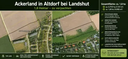 Ackerland LA/Altdorf zu verpachten, ideal für Sonderkulturen