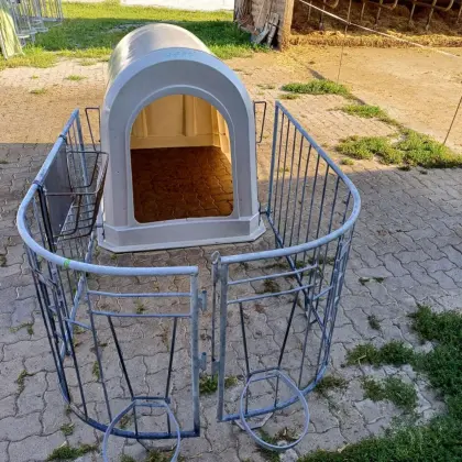 Kälberiglu
