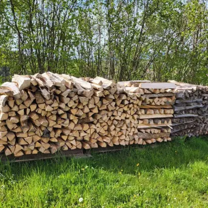 Brennholz