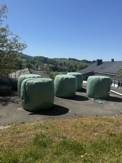 Silobälle und Gärheubälle