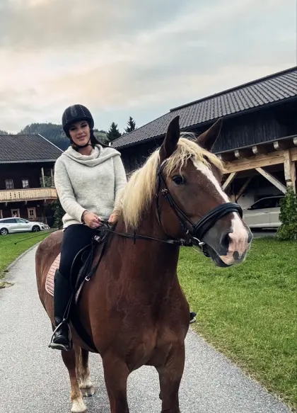 Noriker Fuchsstute Karolina