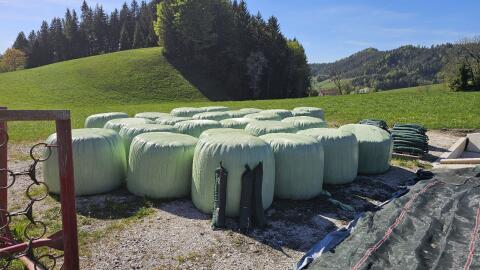Silageballen