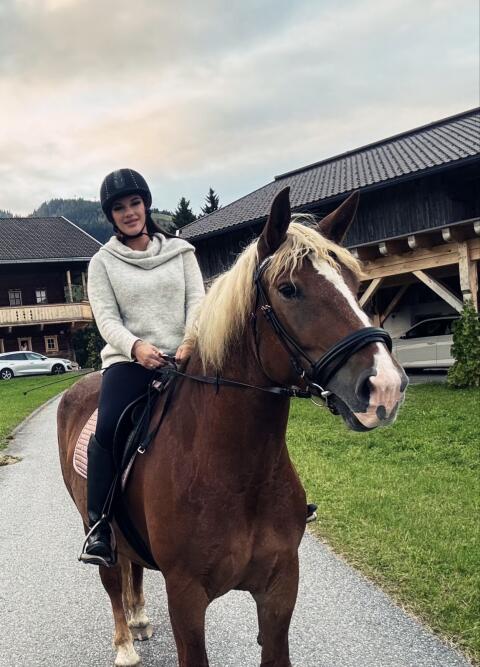 Noriker Fuchsstute Karolina