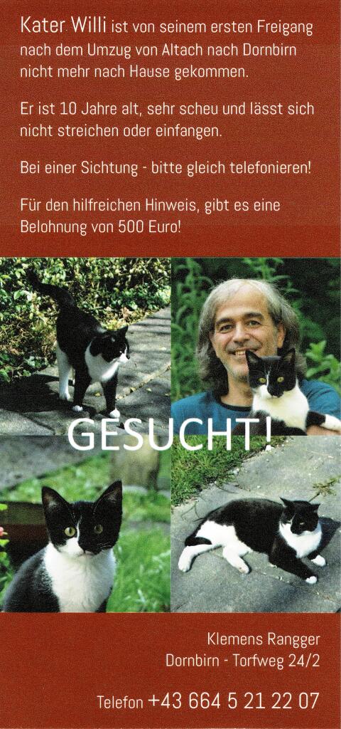 Kater Willi wird in Dornbirn gesucht