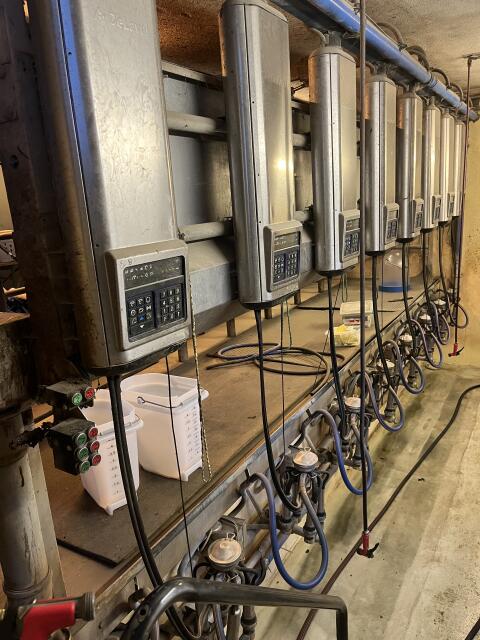 Melkstand DeLaval Side by Side (8 Melkplätze)