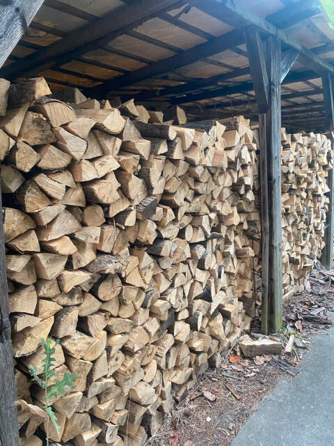 Brennholz
