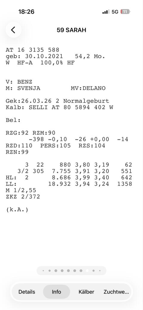 Nutzkalb Bio HF x BS