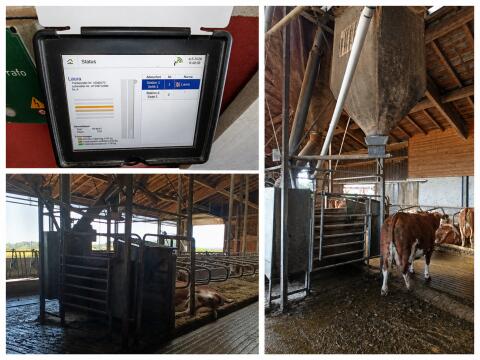 Transponder-Kraftfutterstation Wasserbauer Cowmaster