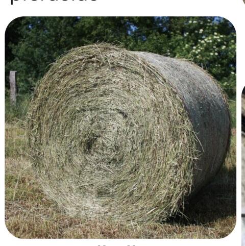 Heuballen Ernte Mai/Juni 2025