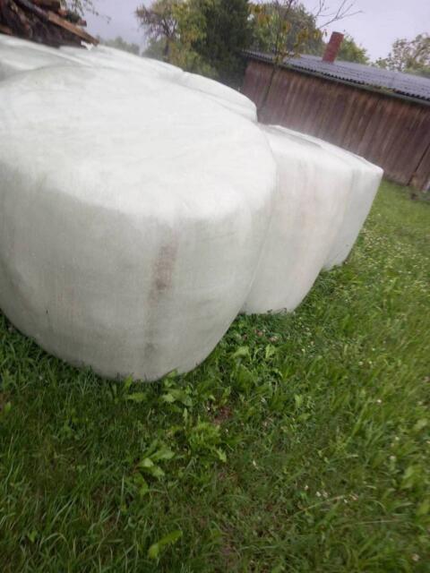 Bio-Silageballen 10 Stk.