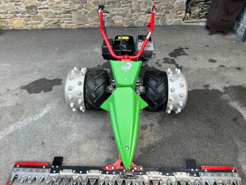 Rapid Swiss Rubin Balken