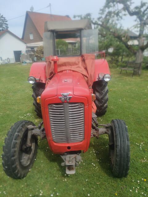 MF 35, Bj. 1964, 37 PS, Massey Ferguson 35