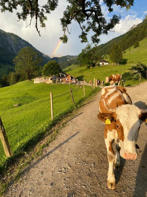Almhütte zu vermieten