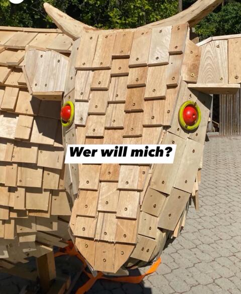 Kuh