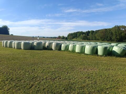 Silageballen, Heuballen Ernte 2.026 und 2.025