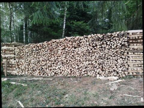 Brennholz hart (Buche, Eiche, Ahorn) gemischt