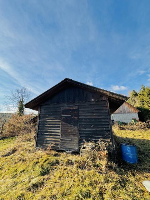 Holzhütte mit Ofen gratis, muss weg (Selbstabbau)