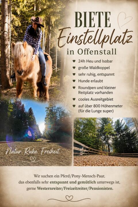 Offenstall-Einstellplatz für ein Pony, Pferd frei