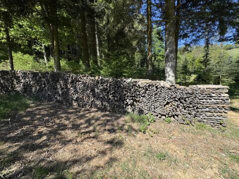 Brennholz Esche