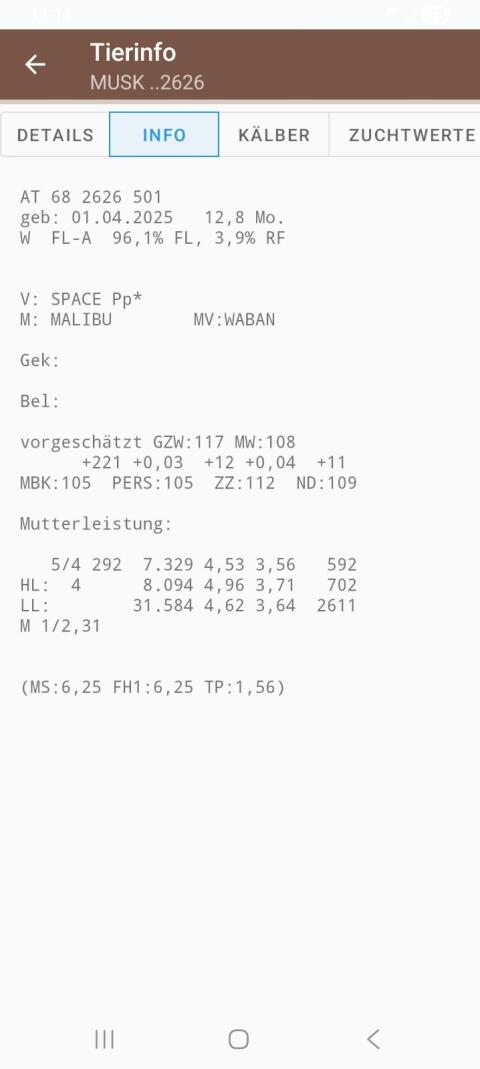 Bio Zuchtkalbinnen