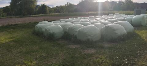 Silageballen