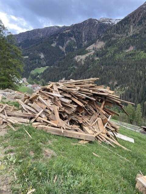 Holz
