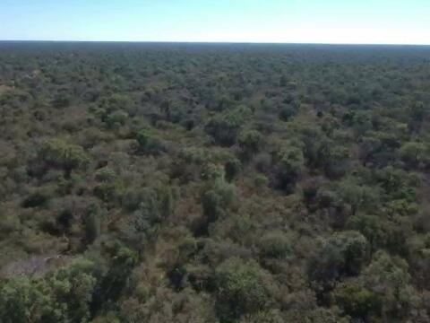 Investitionsmöglichkeit im paraguayischen Chaco, 1.891 ha