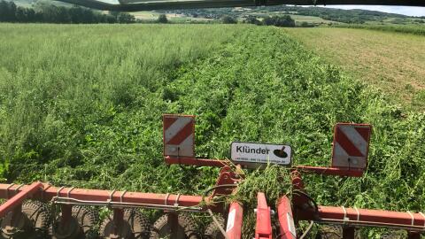 Klünder Unkrautzupfer