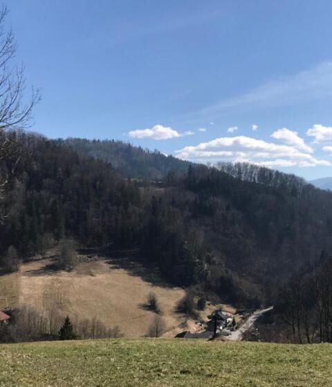 Wald 6,9 ha