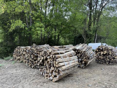 Holzbündel