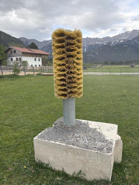 Patura Kratzbürste