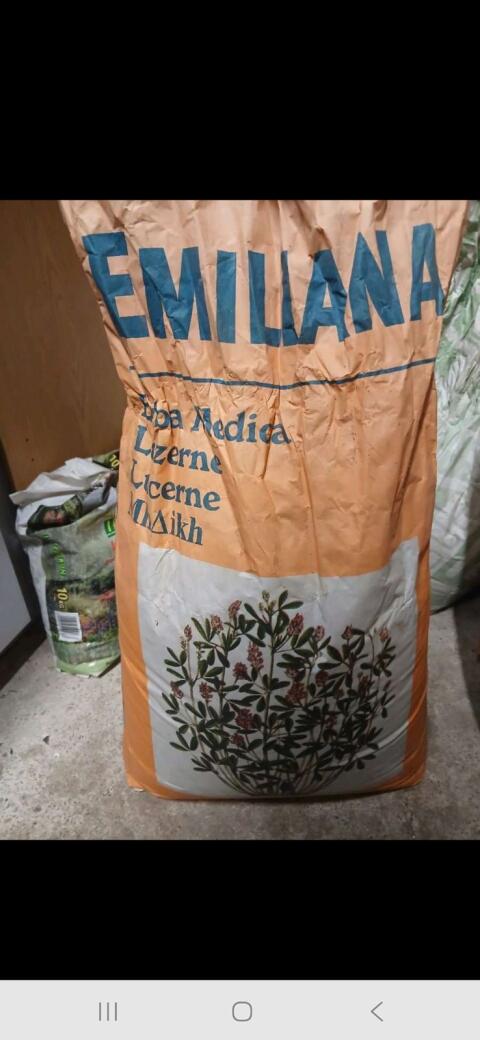 Luzerne Bio Emiliana