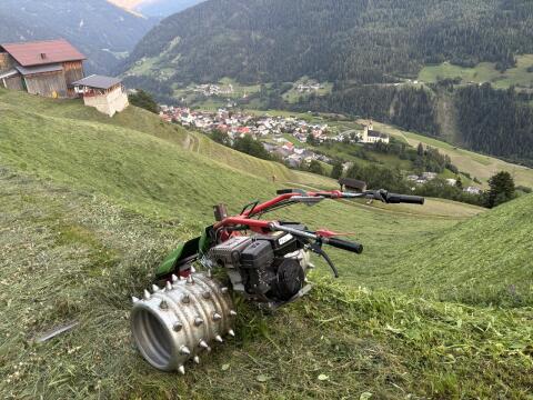 Rapid Swiss