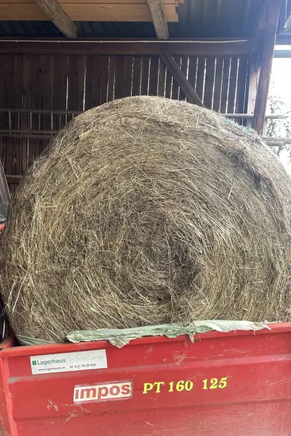 Silage-Ballen
