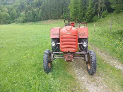 Steyr 185