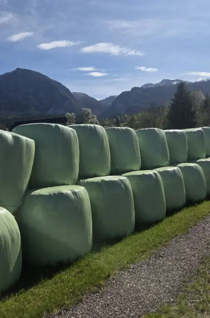 Siloballen zu verkaufen