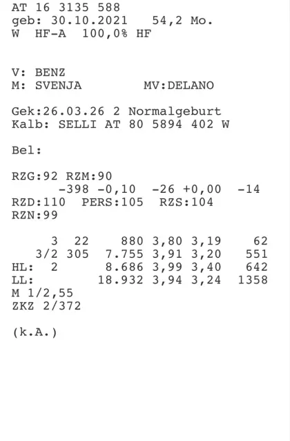 Nutzkalb Bio HF x BS