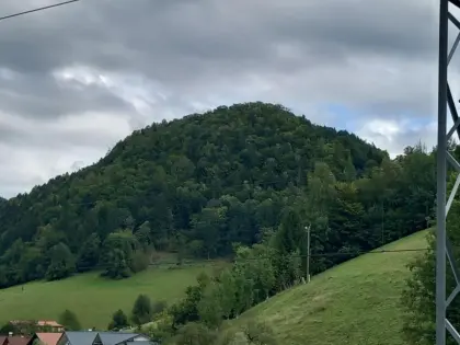 Wald 6,9 ha