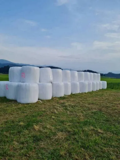 Silageballen