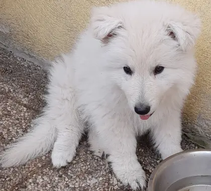 Nur noch ein kleiner Kuschelbär auf der Suche
