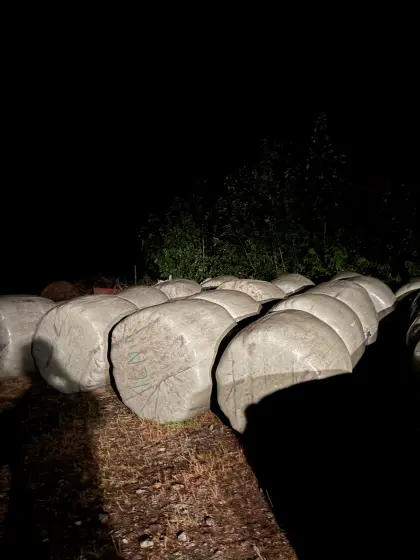 Silageballen