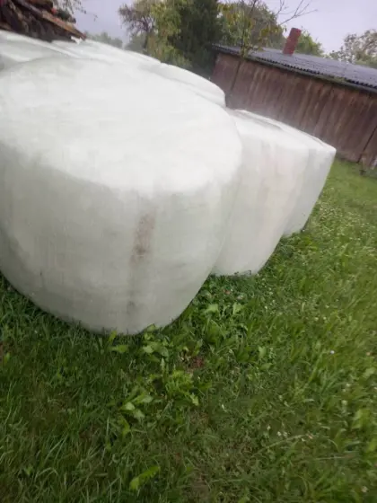 Bio-Silageballen 10 Stk.