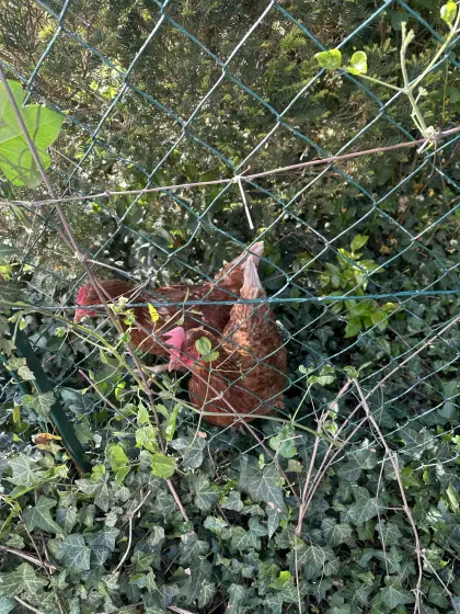 [Telefonnummer entfernt]